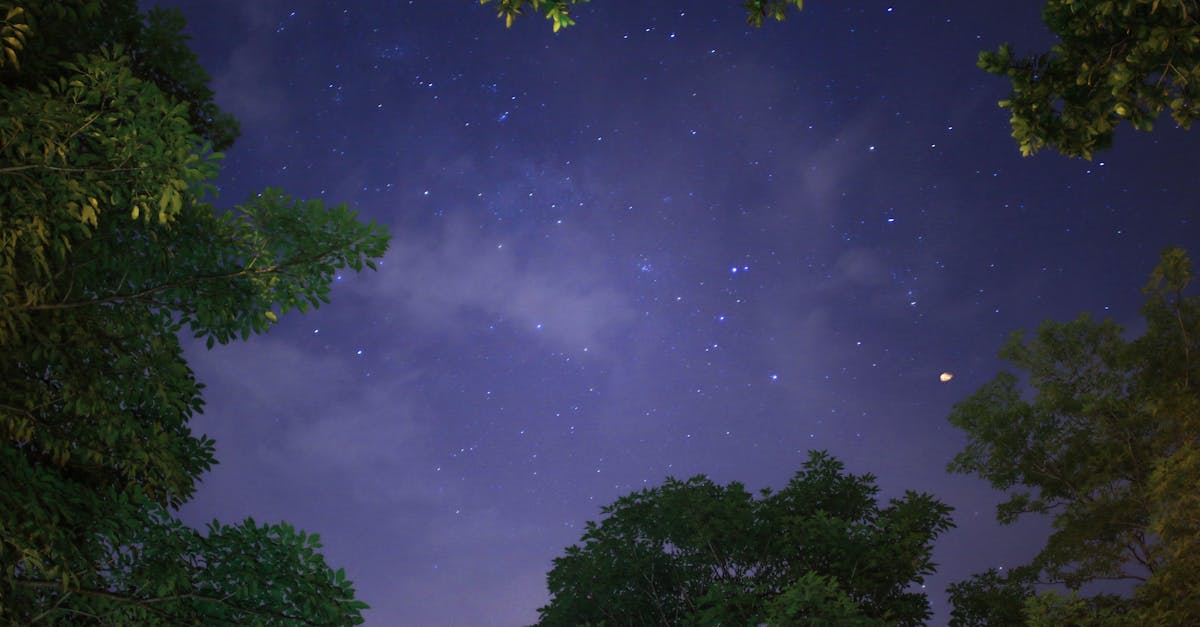 Astroloji sarkaç kullanarak ruhsal denge sağlama sarkaç-560.jpeg